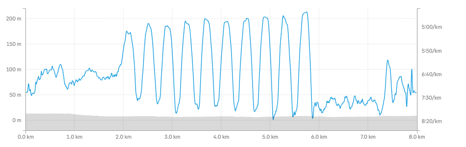 Strava screenshot